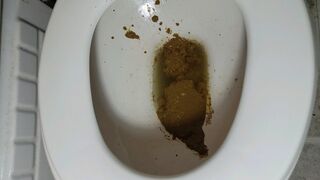 Bbw sloppy shit in toilet., ScatKings.com Scat Porn 12 ScatKings.com Scat Porn