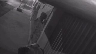 Cctv Girl pooping on the street, ScatKings.com Scat Porn 16 ScatKings.com Scat Porn