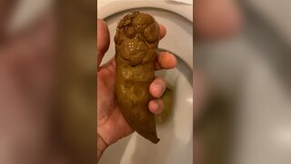 got a thick, smelly turd out of the toilet, ScatKings.com Scat Porn 9 ScatKings.com Scat Porn
