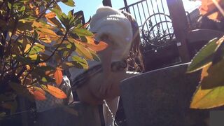 japanese pooping outdoor - video 5, ScatKings.com Scat Porn 12 ScatKings.com Scat Porn