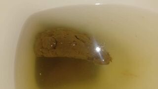 wife pooping - video 22, ScatKings.com Scat Porn 6 ScatKings.com Scat Porn